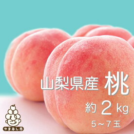 【ふるさと納税】【日本一のもも生産量】 山梨 直送 ! 旬 の 完熟桃 1kg～4kg ギフト箱入り 選べる 内容量 1kg 1.5kg 2kg 3kg 4kg _ ふるさと納税 桃 もも モモ フルーツ 果物 くだもの ギフト プレゼント 山梨県 山梨市 人気 美味しい 【配送不可地域：離島、沖縄県】