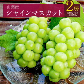 【ふるさと納税】【2025年発送】シャインマスカット 500g 1kg 2kg 4kg リピート続出! 山梨産 シャインマスカット 1房 ~ 9房 選べる内容量 _フルーツ 果物 くだもの ぶどう 葡萄 マスカット 農家直送 朝採れ ふるさと 【配送不可地域：離島、沖縄県】【G1017347】
