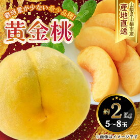 【ふるさと納税】【ふるさと納税】2026年先行予約 山梨県山梨市産 黄桃 黄金桃 約2kg 5玉～8玉【配送不可地域：離島】【1328634】