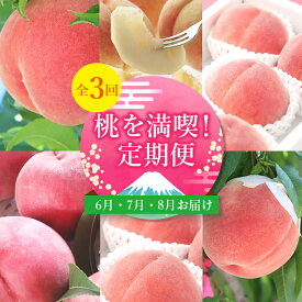 【ふるさと納税】【発送月固定定期便】桃好きさん、集まれ～!個性ある3種のももが楽しめる全3回_定期便 桃 もも モモ 食べ比べ 山梨 完熟 産地直送 国産 贈答 ギフト プレゼント 甘い 白桃 【配送不可地域：離島・沖縄県】【4005028】
