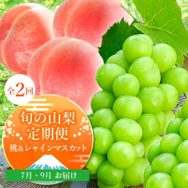 【ふるさと納税】【発送月固定定期便】山梨の人気フルーツ!桃とシャインマスカットの定期便 全2回_ 桃 もも・シャインマスカット ぶどう ブドウ モモ フルーツ 果物 詰め合わせ セット 贈答 ギフト プレゼント 【配送不可地域：離島・沖縄県】【4005029】