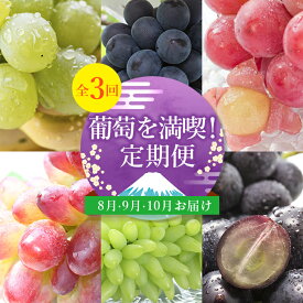 【ふるさと納税】【発送月固定定期便】葡萄好きさん、集まれ～!人気のフルーツぶどうの定期便全3回_ シャインマスカット ぶとう マスカット ブドウ 葡萄 黒葡萄 山梨県 定期便 全3回 果物 くだもの フルーツ【配送不可地域：離島・沖縄県】【4005030】