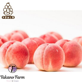 【ふるさと納税】【数量限定】Takano Farmの完熟もも　贈答用　約2kg【配送不可地域：離島】【1115747】