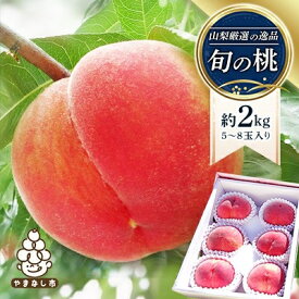 【ふるさと納税】【2026年発送】山梨厳選旬の桃 約1kg / 約2kg / 約3kg_ ふるさと納税 もも モモ フルーツ 果物 くだもの ふるさと 産地直送 山梨 山梨県 山梨市 人気 大好評の 桃 を 旬 の時期にお届け【配送不可地域：離島】【G1220381】