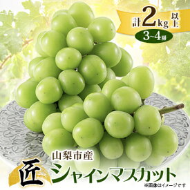 【ふるさと納税】山梨市産シャインマスカット(匠) 3～4房 (2kg以上)_ ふるさと納税 フルーツ 果物 くだもの マスカット ブドウ ぶどう 葡萄 ふるさと 人気 山梨 山梨県 送料無料 【配送不可地域：離島】【1483157】