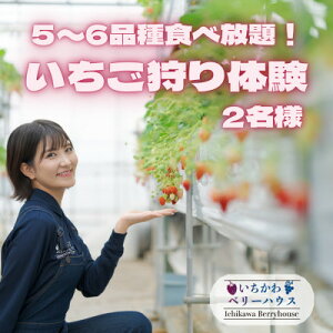 yӂ邳Ɣ[Łz5`6iHו!̌2l!y1542971z