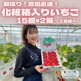【ふるさと納税】【2026年配送】朝採り!農園直送!化粧箱入りいちご15個入り×2箱(1～2品種)【配送不可地域：離島・沖縄県】【1543972】