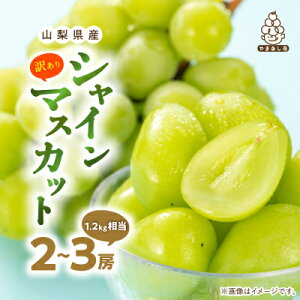 yӂ邳Ɣ[Łzy󂠂z rcʂ̃VC}XJbg2[`3[(1kg / 1.1kg / 1.2kg) ӂ邳Ɣ[ _ VC}XJbg Ԃǂ  }XJbg ʕ  t[c R Rs R