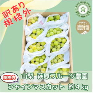 �y�ӂ邳�Ɣ[�Łz�y2026�N��s�\��z�R���E�����t���[�c�_���̖󂠂�V���C���}�X�J�b�g(�K�i�O ��4kg)�y�z���s�n��F�����z�y1544642�z