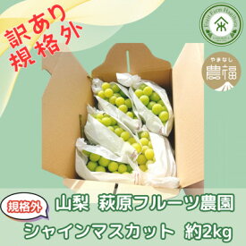 【ふるさと納税】【2026年先行予約】山梨・萩原フルーツ農園の訳ありシャインマスカット(規格外 約2kg)【配送不可地域：離島】【1544663】