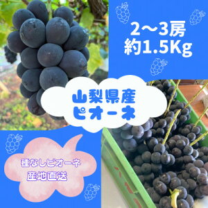 yӂ邳Ɣ[Łzy2026Ns\zsI[l2`3[(1.5kg)yzsnFzy1555648z