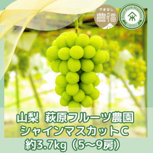 yӂ邳Ɣ[ŁzR t[c_̃VC}XJbg C(3.7kg 5`9[)yzsnFzy1559306z