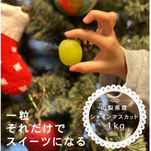 yӂ邳Ɣ[ŁzyNz~ɐHׂ VC}XJbg 2[ (v1kgȏ)RYyzsnFEꌧzy1560607z