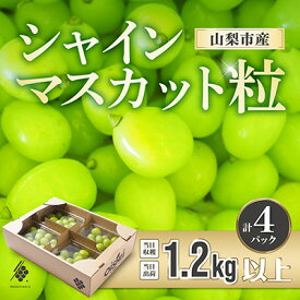 【ふるさと納税】【先行予約2026年発送】 シャインマスカット 粒 約1.2kg 【訳あり】ぶどう 粒カット_ シャインマスカット 訳あり 山梨 ぶとう マスカット ブドウ 葡萄 粒 果物 くだもの フルーツ 【配送不可地域：離島・沖縄県】【1568100】
