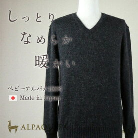 【ふるさと納税】ベビーアルパカ100%セーター メンズ Vネック チャコールグレー Lサイズ【1572418】
