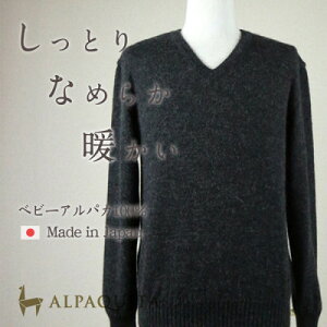 yӂ邳Ɣ[Łzxr[ApJ100%Z[^[ Y VlbN `R[O[ LTCYy1572418z