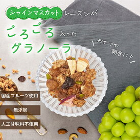 【ふるさと納税】グラノーラ 食べ比べセット 60g×10袋 桃 柿 シャインマスカット ドライフルーツ入り 無添加_ 果物 フルーツ くだもの カキ もも オートミール シリアル レーズン シャインマスカットレーズン 人気 おすすめ 無添加 贈答 ギフト ロス【1575392】
