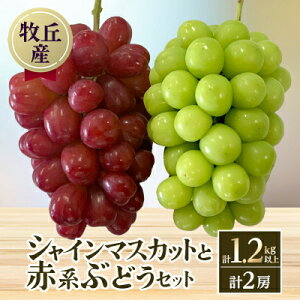 yӂ邳Ɣ[ŁzR!!VC}XJbgƐԌnԂǂ@2[(v1.2kgȏ)_ VC}XJbg Ԃǂ ԌnԂǂ uhE  R ʕ  t[c fU[g Y Yn 
