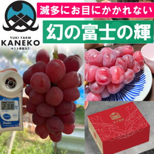 yӂ邳Ɣ[Łzy{R̊󏭕iz烉bL[ȂȂڂɂȂxm̋P2kg9{蔭yzsnFzy1579833z