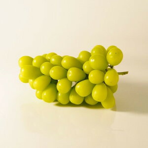 yӂ邳Ɣ[Łzys\2026Nz VC}XJbg 1[(500g`600g) y󂠂zyzsnFEꌧzy1579990z