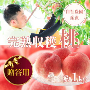 yӂ邳Ɣ[Łzy2026Ns\zypznn 1kg RY Д_Y!yzsnFzy1580902z