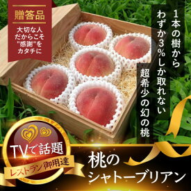 【ふるさと納税】【お家で一流レストラン御用達】桃通を唸らせる『幻のシャトーブリアン桃』2026年7月下旬より順次発送【配送不可地域：離島・北海道・沖縄県・中国・四国・九州】【1586234】