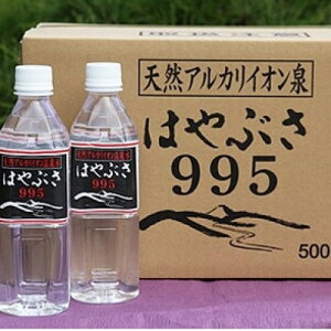 yӂ邳Ɣ[Łzyցz傤͂Ԃ@995q500ml×24{rS3y4058671z