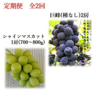 �y�ӂ邳�Ɣ[�Łz�y�������Œ����ցz2026�N���� �햳������@�V���C���}�X�J�b�g�S2��y�z���s�n��F�����z�y4062141�z