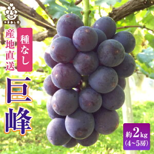 yӂ邳Ɣ[Łz 1.5kg / 2kg ( 3`4[ / 4`5[ ) ͔_܂ ÂăW[V[  ( Ȃ )_ ӂ邳Ɣ[ ӂ邳 Ԃǂ uhE  t[c ʕ  R Rs