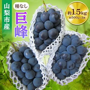 yӂ邳Ɣ[Łzy2026Ns\zRsYu(Ȃ)vlߍ킹(500g×3[)_ ӂ邳Ɣ[ t[c ʕ  }XJbg uhE Ԃǂ  ӂ邳 lC R R 
