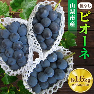 yӂ邳Ɣ[Łzy2026Ns\zsI[l 550g×3[ RsY usI[l(Ȃ)v lߍ킹_ ӂ邳Ɣ[ ӂ邳 Ԃǂ uhE  t[c ʕ  lC  R