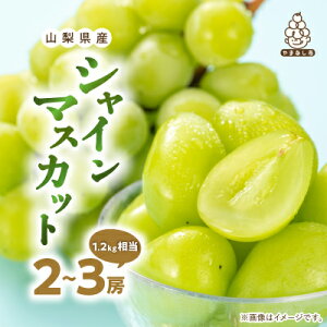 yӂ邳Ɣ[ŁzzI rcʂ̃VC}XJbg 1kg / 1.2kg ӂ邳Ɣ[ _ 1000g 1200g 2[~3[ t[c ʕ Ԃǂ uhE }XJbg   Mtg v[g 蕨  R