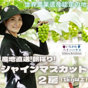 yӂ邳Ɣ[Łzy2026Nzz_!I!RYVC}XJbg2[(1kgȏ)yzsnFEꌧzy1481228z