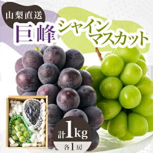 yӂ邳Ɣ[Łzy2026Ns\zVC}XJbg  2Zbg lCԂǂ2퐷荇킹v1kgȏ_ ӂ邳Ɣ[ ӂ邳 uhE  }XJbg t[c ʕ  Hה