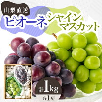 楽天市場】ピオーネ 1kg（産地（都道府県）山梨）の通販