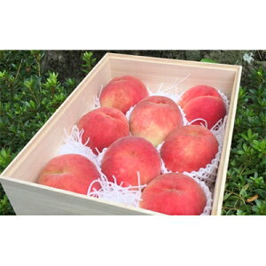 �y�ӂ邳�Ɣ[�Łz�y2026�����\��z���ʌ���!�y�������˔�����z8�`9�ʓ���@�R���s�Y�n�����@��3kg���y�z���s�n��F�����z�y1178160�z