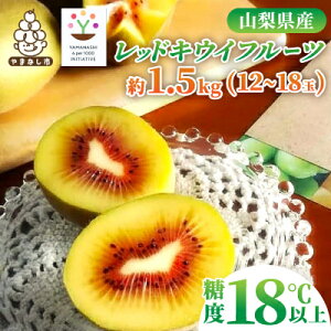 yӂ邳Ɣ[Łzy2026\zbhLECt[cϔ@Yn1.5kg(12`18)yzsnFzy1178165z