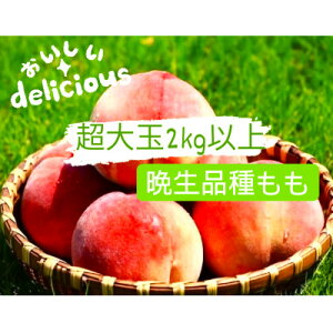 yӂ邳Ɣ[ŁzӐi3`6ʓ_ƒ@2kgȏyzsnFzy1178180z