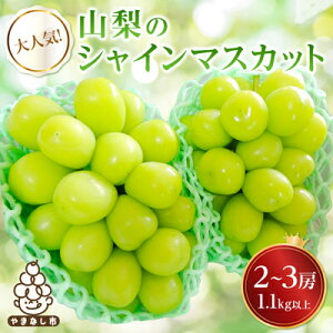 yӂ邳Ɣ[Łz1.1kg̋Kî݊tzύX_y2025NxzVC}XJbg700g@1kg@1.1kg@1.5kg@2kg@_ R Rs t[c ʕ Ԃǂ }XJbg VC}XJbg RY 