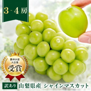 yӂ邳Ɣ[Łzy2026N s\zy󂠂zVC}XJbgIׂ2[E3`4[  2 3_ VC}XJbg 1kg 1.5kg t[c ʕ A ƒp Ԃǂ uhE  lC 