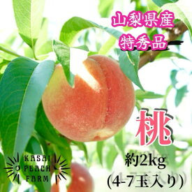 【ふるさと納税】【2026年発送先行予約】厳選朝採り桃 山梨の笠井桃園の桃 約2kg【配送不可地域：離島】【1587429】