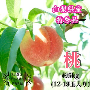 yӂ邳Ɣ[Łzy2026Ns\zÎ蓍 R̊}䓍̓ 5kgyzsnFzy1587434z