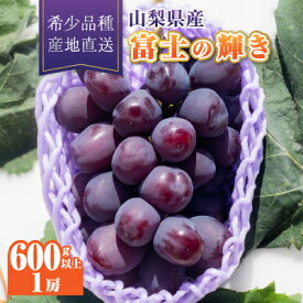 【ふるさと納税】【2026年発送】富士の輝き1房(600g以上)_ ぶどう 葡萄 ブラックシャインマスカット 紫ブドウ 希少 高糖度 甘い 希少品種 プレミアム 富士の輝 ふじのかがやき フルーツ 果物 贈答 ギフト 送料無料 山梨県 山梨市 【配送不可地域：離島】【1613562】