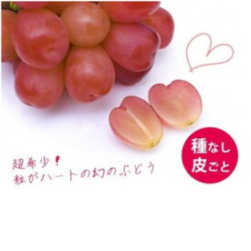 【ふるさと納税】【2026年9月上旬より発送予定】マイハート1房 500g以上 ハート形のかわいい葡萄【配送不可地域：離島】【1613666】