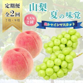【ふるさと納税】【発送月固定定期便】山梨夏の味覚定期便〈桃 約2kg/シャインマスカット 1.1kg以上〉全2回_ フルーツ 果物 くだもの もも ぶどう 人気 旬 詰め合わせ セット 贈答 ギフト プレゼント 産地直送 送料無料 【配送不可地域：離島】【4050317】