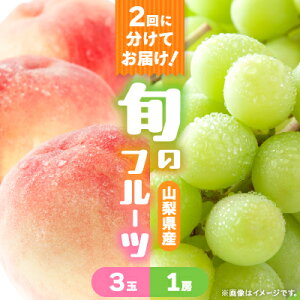 yӂ邳Ɣ[ŁzyŒցz3(1kg)@VC}XJbg1[(500gȏ)S2yzsnFzy4067604z
