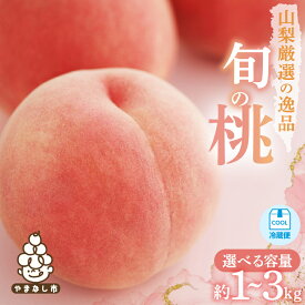 【ふるさと納税】【2026年発送 先行予約】山梨厳選旬の桃 約1kg / 約2kg / 約3kg_ ふるさと納税 もも モモ フルーツ 果物 くだもの ふるさと 産地直送 山梨 山梨県 山梨市 人気 大好評の 桃 を 旬 の時期にお届け【配送不可地域：離島】【G1220381】