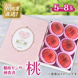 【ふるさと納税】2026年 先行予約桃 約2kg 5～8玉 朝もぎ直送! 旬の完熟『桃』選び抜かれた桃_ ふるさと納税 ふるさと もも モモ フルーツ 果物 くだもの 山梨県 山梨市 山梨 人気 送料無料【配送不可地域：離島】【1359013】