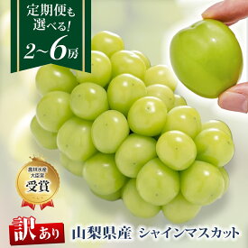 【ふるさと納税】【訳あり】シャインマスカット選べる2房・3～4房 定期便 2回 3回_ シャインマスカット 1kg 1.5kg フルーツ 果物 訳アリ 家庭用 ぶどう ブドウ くだもの 人気 マスカット 山梨県 山梨市 【配送不可地域：離島】【G1456435】