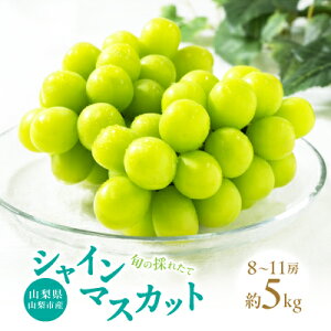 yӂ邳Ɣ[ŁzRRsY@{̍̂ꂽăVC}XJbg@Gi 1.2kg/1.5kg/1.8kg/5kg_ ӂ邳Ɣ[ ӂ邳 }XJbg Ԃǂ uhE  t[c ʕ  R lC 